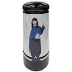 中古置物・装飾品 セントチヒロ・チッチ 