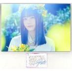 中古雑貨 瀧野由美子(STU48) A3メンバー個別写真パネ