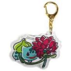 ��Ż��� �ե������� ������륭���ۥ���� �֥ݥ��åȥ�󥹥�����ITS��DEMO(���åĥǥ�)��