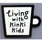 中古マグネット・磁石 KinKi Kid
