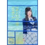 中古ウォールポケット [破損品] 今泉美利愛(STU48) 個