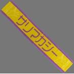 中古タオル・手ぬぐい 潮紗理菜(日向坂46) 4回目のひ