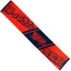 中古バッグ 樋口楓(VR関西圏立高校) 