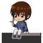 機動戦士ガンダムSEED＆機動戦士ガンダムSEED DESTINY カドキャラ 9個
