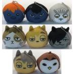 中古キーホルダー 全8種セット 「ハイキ