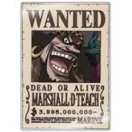 中古マグネット・磁石 マーシャル・D・ティーチ(黒ひげ) アクリル手配書マグネットvol.4  「ワンピース」