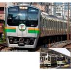 新品鉄道模型 1/150 E217系 東海道線 15両セット 特別企画品 [10-1643]