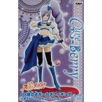 中古フィギュア キュアベリー 「フレッシュプリキュア!」 DX組立式ガールズフィギュア〜キュアベリー&キュアパッション〜