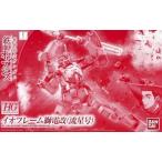 中古プラモデル 1/144 HG イオフレーム 獅電改(流星号) 「機動戦士ガンダム 鉄血のオルフェンズ」