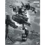 中古プラモデル 1/100 MG RGM-79DO ジム・ドミナンス(フィリップ・ヒューズ機) 「機動戦士ガ
