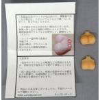  б/у пластиковая модель Special привычка детали . type . тип комплект 5( Brown )ti зеленовато-голубой выше детали 