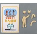  б/у пластиковая модель космос одежда кошка ....ver.2.0 resin литье комплект 