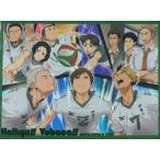 中古サプライ ハイキュー!!バボカ!! 限定カードプロテクトVer.『伊達工』 バボカ部親善マッチ 2017年1・2月敢闘賞