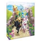 中古サプライ ポケモンカードゲーム コレクションファイル イーブイヒーローズ  ポケモンセンター・ポケモンストア限