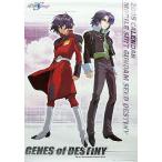 б/у календарь Mobile Suit Gundam SEED DESTINY 2005 год календарь 