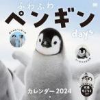  б/у календарь нежный пингвин days 2024 год календарь 