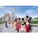  б/у календарь Tokyo Disney resort 2024 отчетный год настенный календарь литье * spo nsa- ограничение распространение товар 