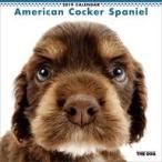  б/у календарь THE DOG american * Cocker * spaniel 2019 год календарь 