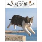  б/у календарь скол кошка 2020 год календарь 