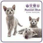  б/у календарь THE CAT Россия n* голубой 2020 отчетный год Mini календарь 