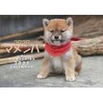  б/у календарь ko Logo romamesiba2021 год календарь 