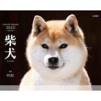 中古カレンダー 柴犬 2022年度カレンダー