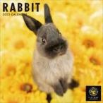  б/у календарь PICTWAN кролик 2023 год календарь 