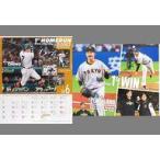  б/у календарь Yomiuri Giants Nagano ..#7/ ширина река .#62 2023 год 7 месяц булавка nap постер календарь ежемесячный ja Ian tsu2023 год 5 месяц 