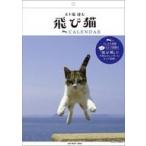  б/у календарь скол кошка 2024 год календарь 