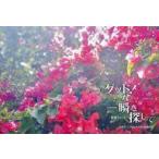 中古カレンダー 斎藤ちはる(アナウンサー) グッド!な一瞬を探して 2026カレンダー 写真ライフ 2026年冬号