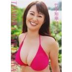 竹中知華のグラビア画像 中古カレンダー 竹中知華 カレンダーブック 2026.4〜2027.3