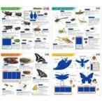 中古おもちゃ こたえがでてくる!おふろでスタディ! 学研の図鑑LIVE昆虫