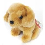 中古ストラップ(女性) [単品] 板野友美(コロン) ワンダフルストラップ 「WONDA×AKB48 ワンダフルストラップ＆デザイ