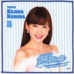 中古タオル・手ぬぐい(女性) 小嶋陽菜 推しタオル 「AKB48 2013真夏のドームツアー〜まだまだ、やらなきゃいけないことがあ