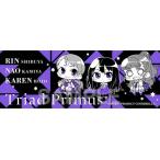 中古タオル・手ぬぐい(キャラクター) Triad Primus ミニッチュ スポーツタオル 「アイドルマスター」
