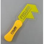 中古小物(男性) FTISLAND ペンライト 「FTISLAND Official Fanmeeting 2014」