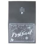中古バッグ(女性) TrySail(グレーver.) クラッチバッグ 「TrySailくじ」