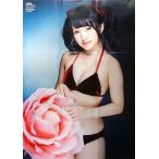中古ポスター(女性) 超!特大ポスター(九つ折) 向井地