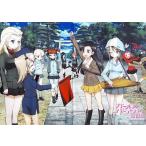  б/у постер ( аниме ) B2 ткань постер театр версия команда [ Girls&Panzer театр версия ] AnimeJapan 2016 товары 