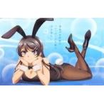 中古ポスター(アニメ) B3クリアポスタ