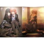中古ポスター(アニメ) B2お風呂ポスターセットvol.2(2枚組) 雪乃＆結衣/一色いろは 「やはり俺の青春ラブコメはまちがってい