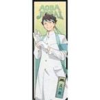  б/у постер . река .( обычный ) [ Haikyu!!!! TO THE TOP тонкий постер коллекция ]