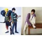  б/у постер A3 булавка nap постер ( 2 ..). мыс дракон следующий .& большой видеть . земля /. рисовое поле .. stage Grand Prix vol.17 2022 SPRING.