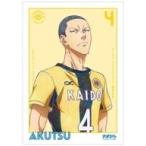  б/у постер A3 коврик обработка постер .. Цу .Ani-Art [a или si]