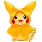 中古ぬいぐるみ マンスリーピカチュウ2015 6月 「ポケットモンスター」 ポケモンセンター限定