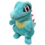 中古ぬいぐるみ ワニノコ ぬいぐるみ 「ポケットモンスター」 ポケモンセンター限定