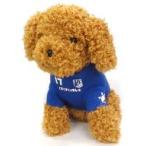 ���Âʂ������ ���������`�b�v �ʂ������ �u����������������E���񂭂�����Ղ�2014�v