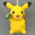 中古ぬいぐるみ ピカチュウ ポケモンフォーカス ＜進化のいしで進化するポケモン＞ ぬいぐるみ〜ピカチュウ・ラ