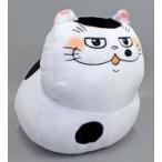���Âʂ������ �ӂ��܂�(������) BIG�ʂ������ �u�������܂ƔL�v �^�C�g�[����