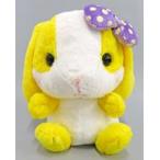 ���Âʂ������ �ς��Ȃ��ҁ[ �ۂĂ�������ҁ[�r�r�b�hJB �ʂ������ �u�ۂĂ�������ҁ[�v